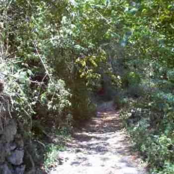 Click para ampliar. Pulsa en el nombre para ver la ficha. 11